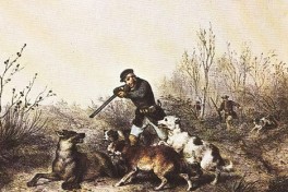 Wolf hunt