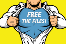 Free the files superhero