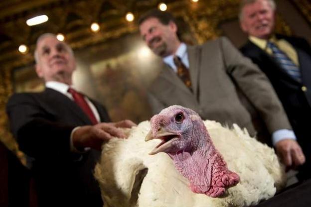 Mark Dayton pardons a Turkey