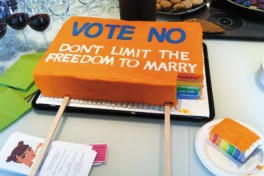 Vote NO Cake