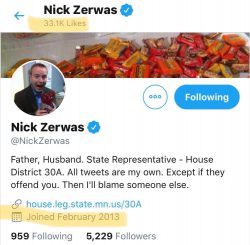 Screenshot of Twitter Profile of Nicky Zerwas